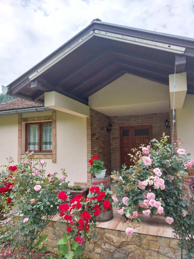 Apartment "Mira" Foca Zewnętrze zdjęcie