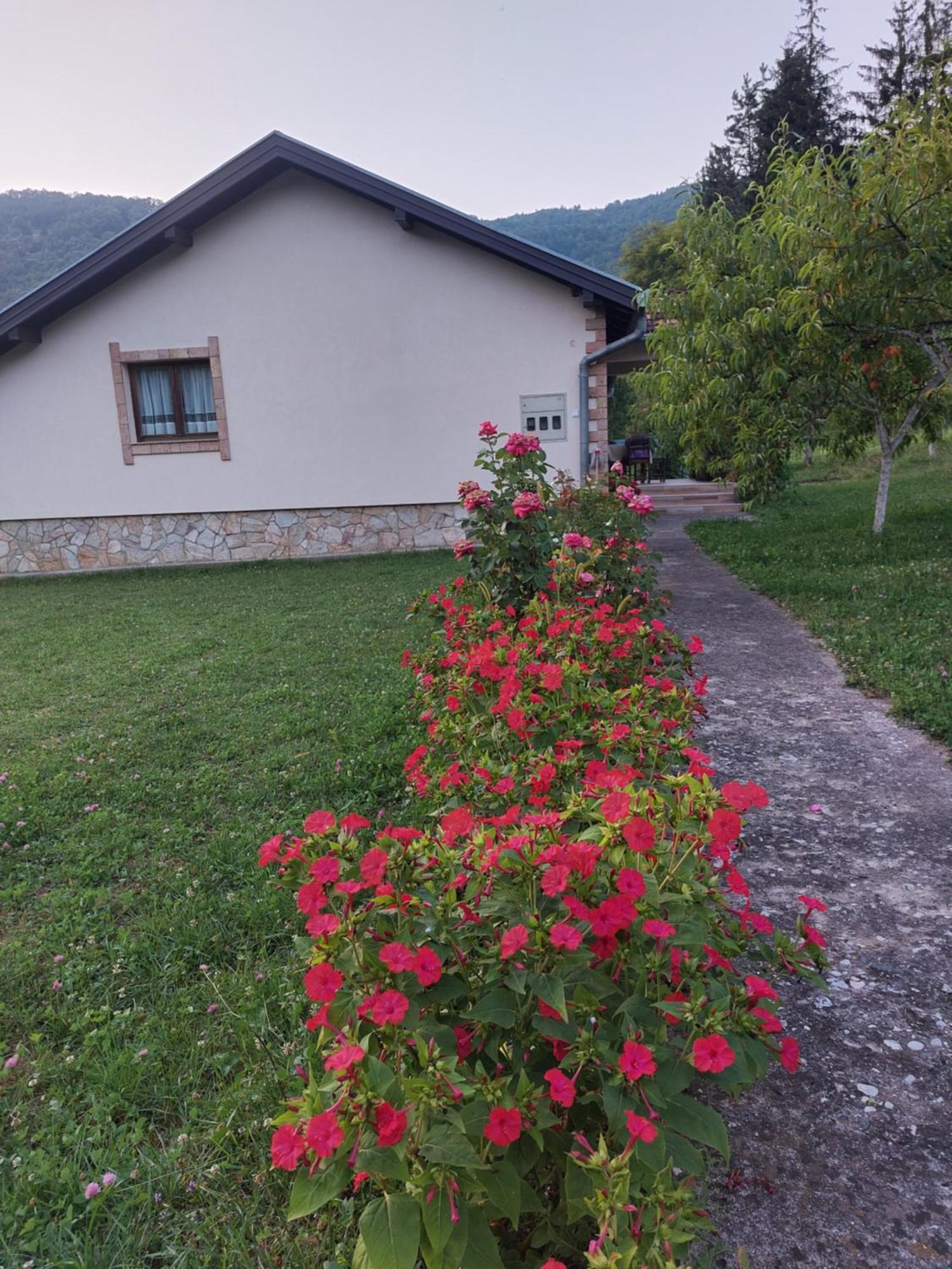 Apartment "Mira" Foca Zewnętrze zdjęcie
