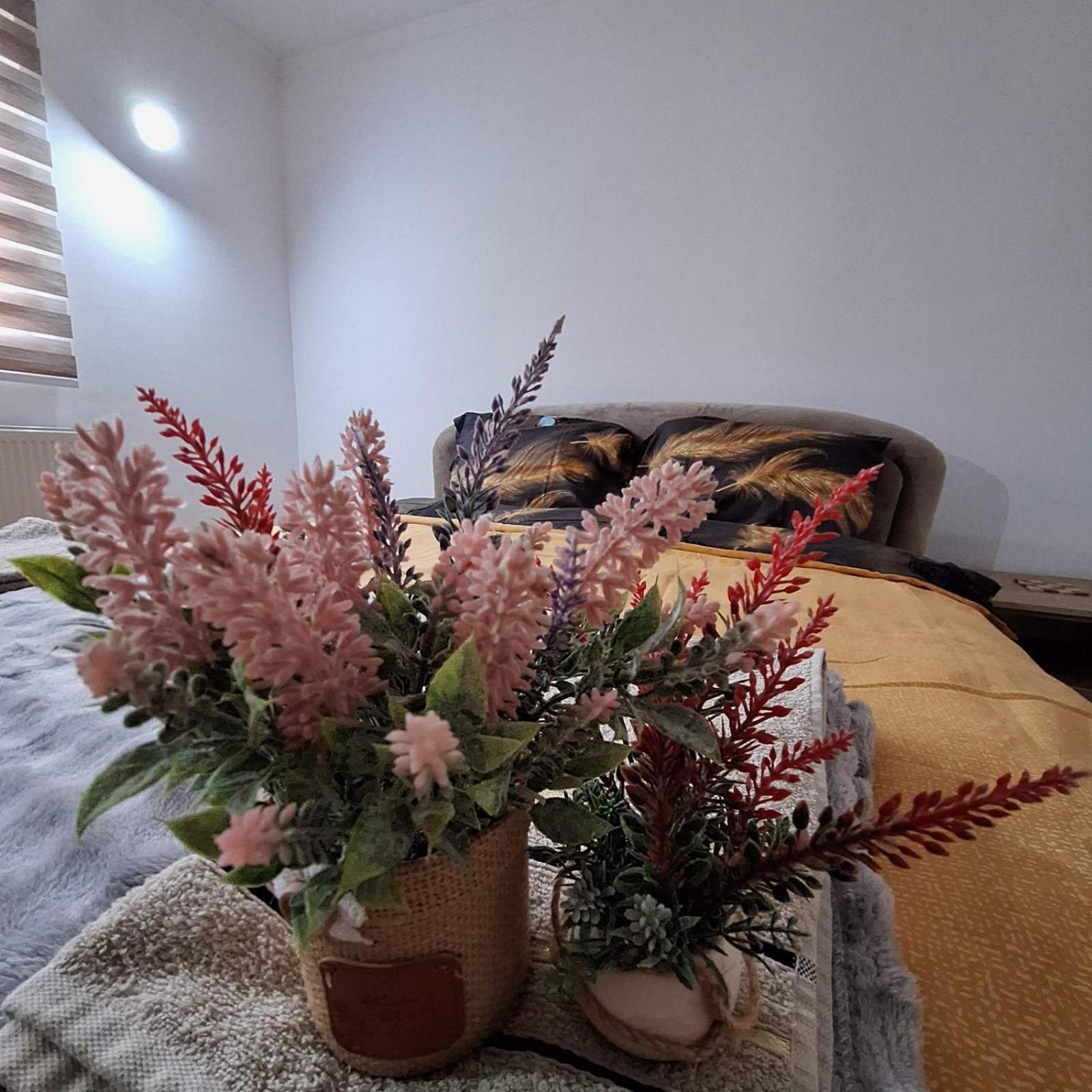 Apartment "Mira" Foca Zewnętrze zdjęcie
